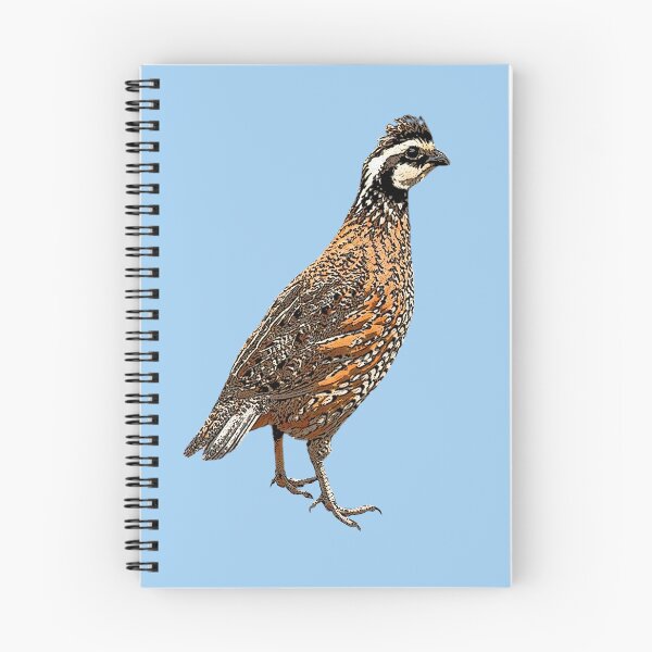 Item preview, Northern Bobwhite Color Design  designed and sold by designsasstultd.