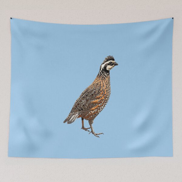 Item preview, Northern Bobwhite Color Design  designed and sold by designsasstultd.