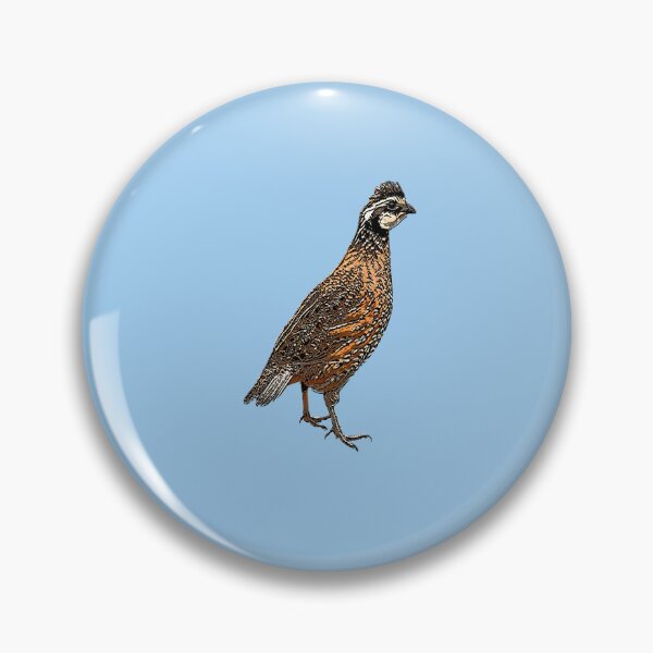 Item preview, Northern Bobwhite Black Alternate Design  designed and sold by designsasstultd.