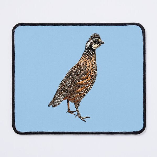 Item preview, Northern Bobwhite Black Alternate Design  designed and sold by designsasstultd.
