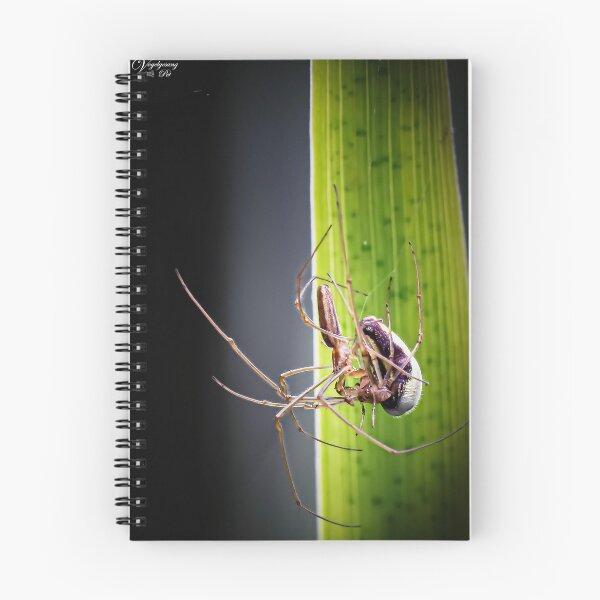 Item preview, Spiders mating designed and sold by Natur-im-fokus.