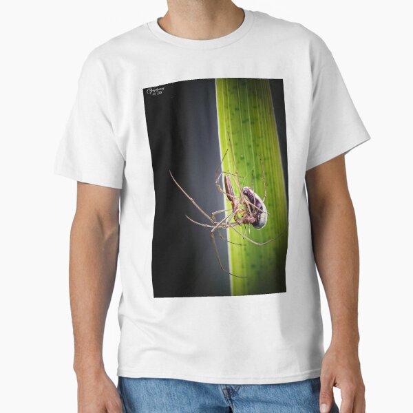 Item preview, Spiders mating designed and sold by Natur-im-fokus.