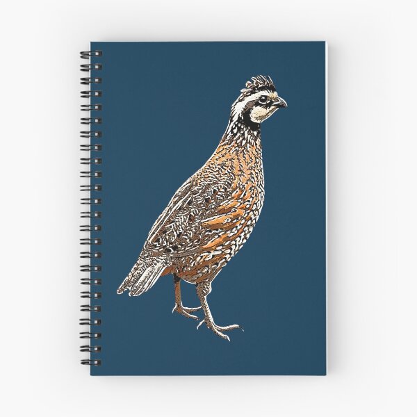 Item preview, Northern Bobwhite White Alternate  Design  designed and sold by designsasstultd.