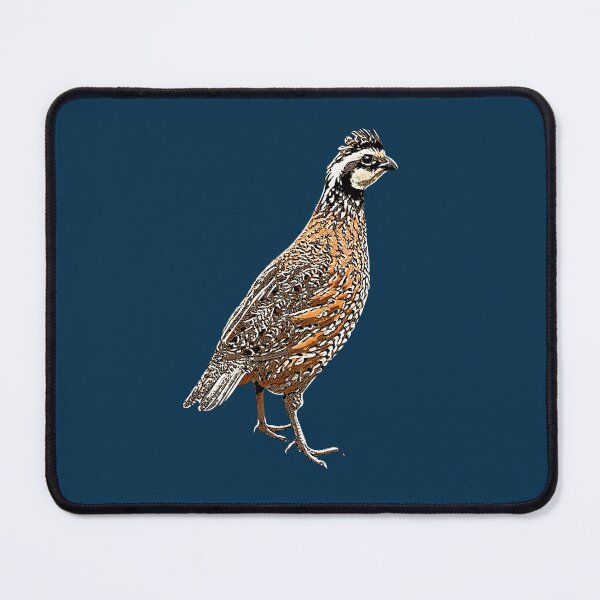 Item preview, Northern Bobwhite White Alternate  Design  designed and sold by designsasstultd.