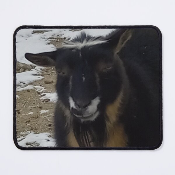 Item preview, Nigerian Dwarf Goat 'Pip' designed and sold by Abby Art Studio.