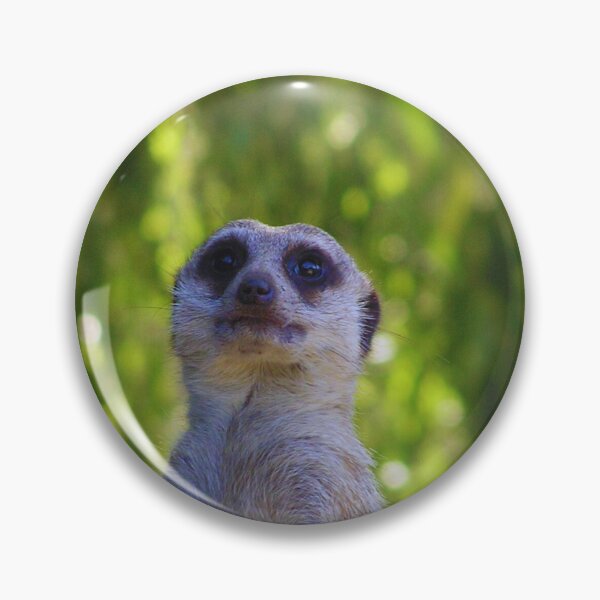 Item preview, The mongoose looking at something designed and sold by LiM-Team.