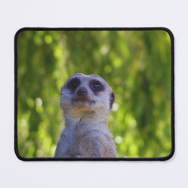 Item preview, The mongoose looking at something designed and sold by LiM-Team.