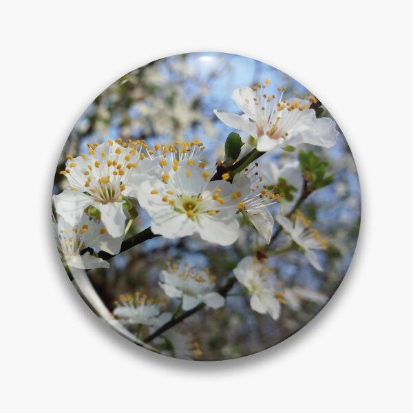 Item preview, European plum with white blossoms 1 original artwork designed and sold by paragonDesign28.