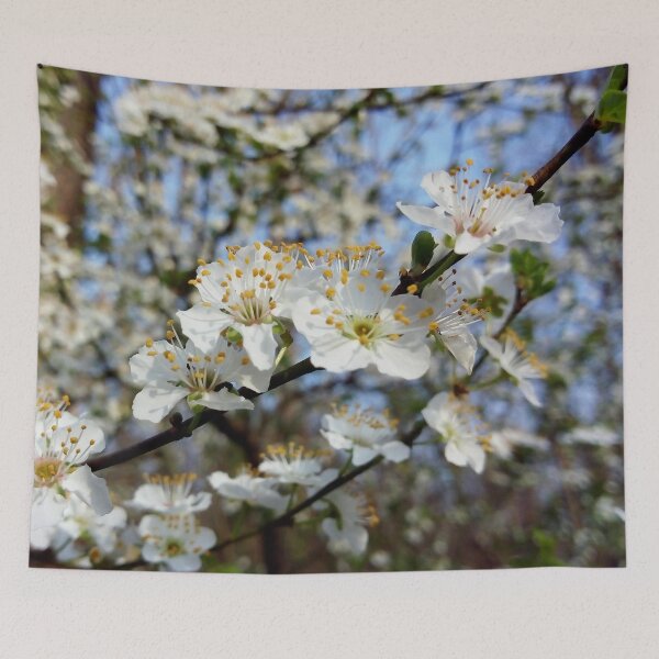 Item preview, European plum with white blossoms 1 original artwork designed and sold by paragonDesign28.