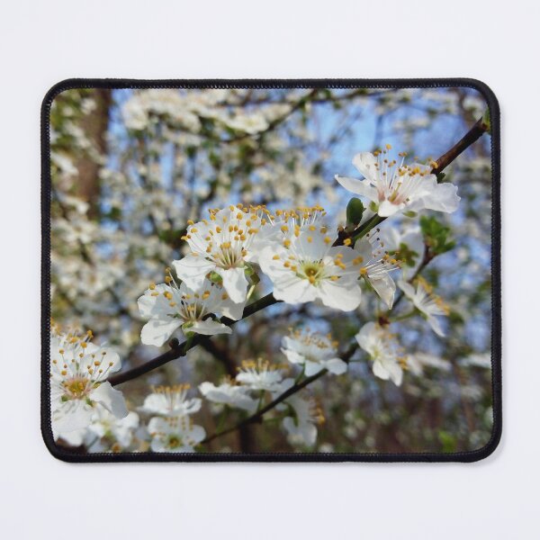 Item preview, European plum with white blossoms 1 original artwork designed and sold by paragonDesign28.