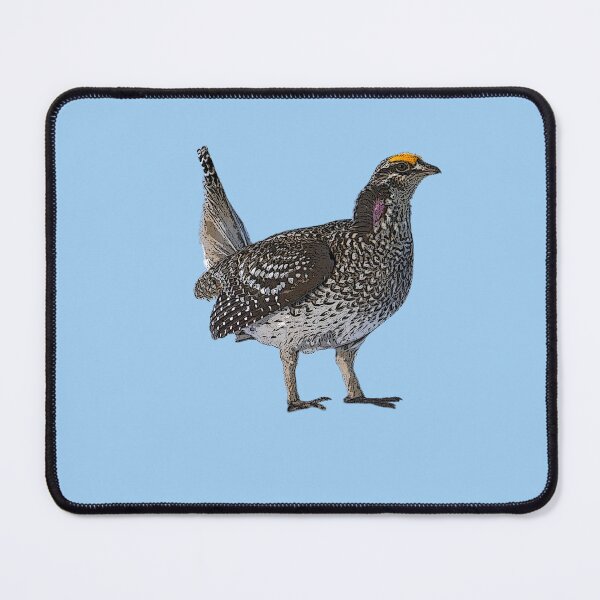 Item preview, Sharp Tailed Grouse Color Design designed and sold by designsasstultd.