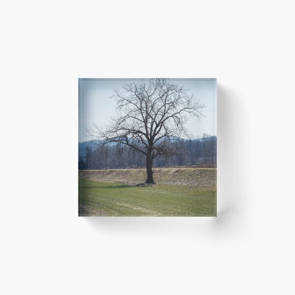 Item preview, Bare designed and sold by Tim Dusenberry.