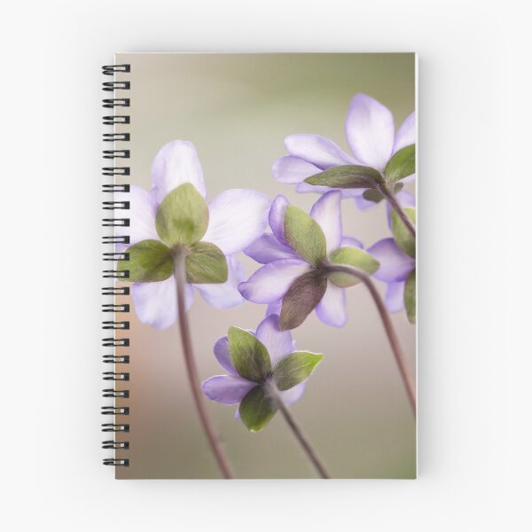 Item preview, Spring flowers designed and sold by Catrinann.