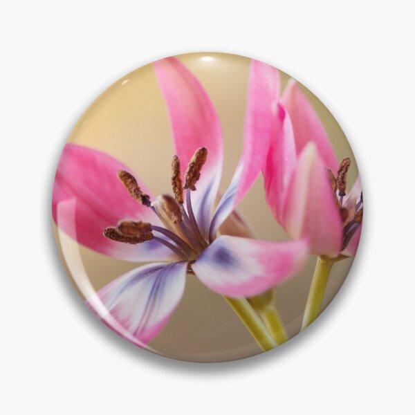 Item preview, Botanical Tulips designed and sold by Catrinann.