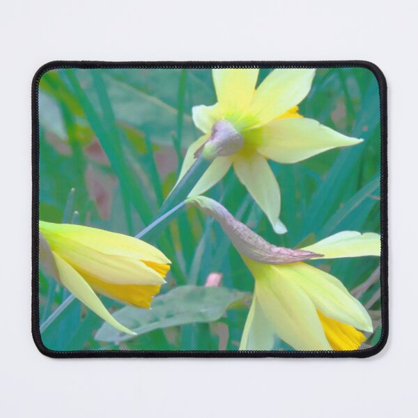 Item preview, First blooms designed and sold by ART22.