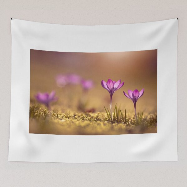 Item preview, Crocuses designed and sold by Catrinann.