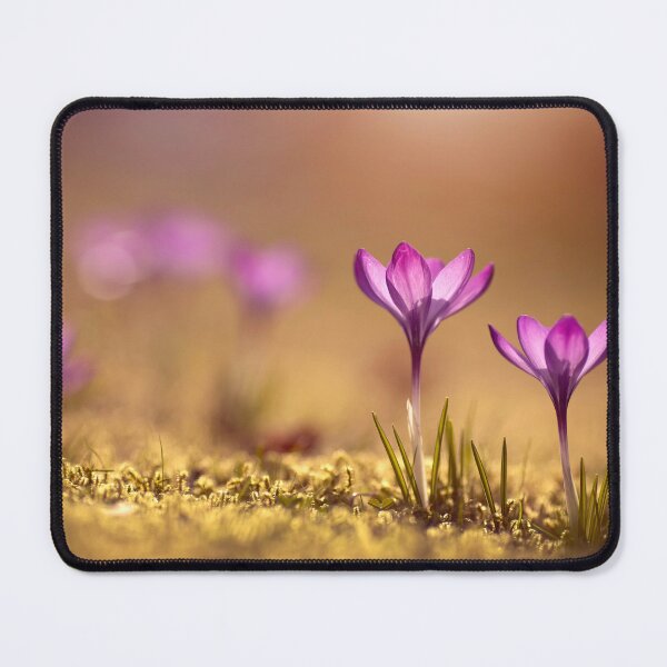 Item preview, Crocuses designed and sold by Catrinann.