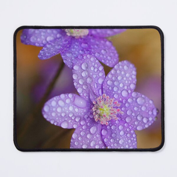 Item preview, Spring flowers designed and sold by Catrinann.