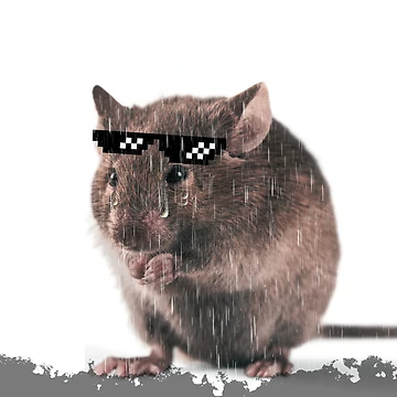 Artwork thumbnail, Sad hamster by Inspire Apparel