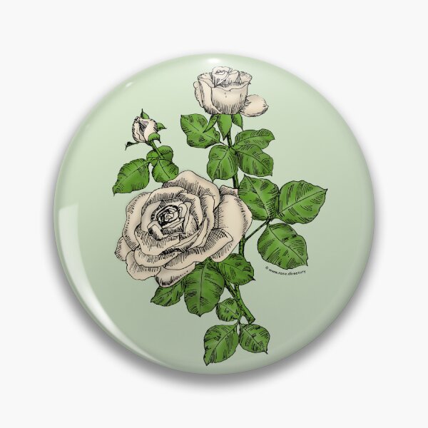 Item preview, Cream High-Centered Rose Bloom Double 16-25 Petals In 3+ Rows designed and sold by Rachael Taylor.