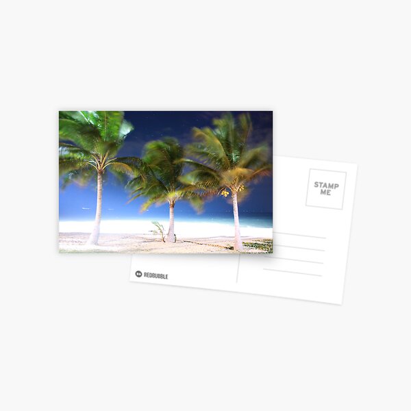 Three Stand Strong Postcard