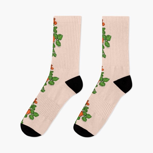 Item preview, Orange High-Centered Rose Bloom Double 16-25 Petals In 3+ Rows designed and sold by Rachael Taylor.