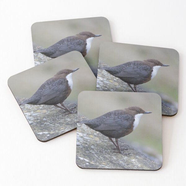 Item preview, Dipper designed and sold by LaurenTucker.
