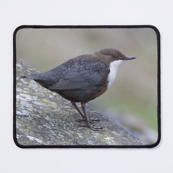 Item preview, Dipper designed and sold by LaurenTucker.