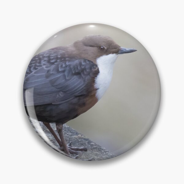 Item preview, White Throated Dipper designed and sold by LaurenTucker.