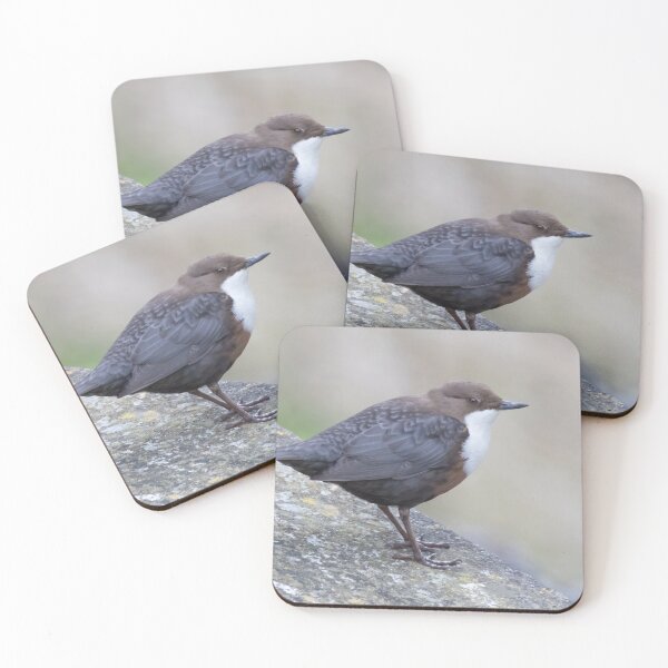 Item preview, White Throated Dipper designed and sold by LaurenTucker.
