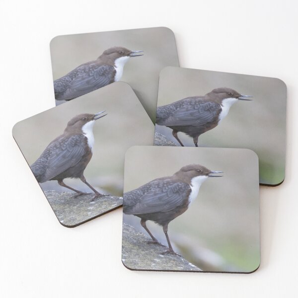 Item preview, White Throated Dipper designed and sold by LaurenTucker.