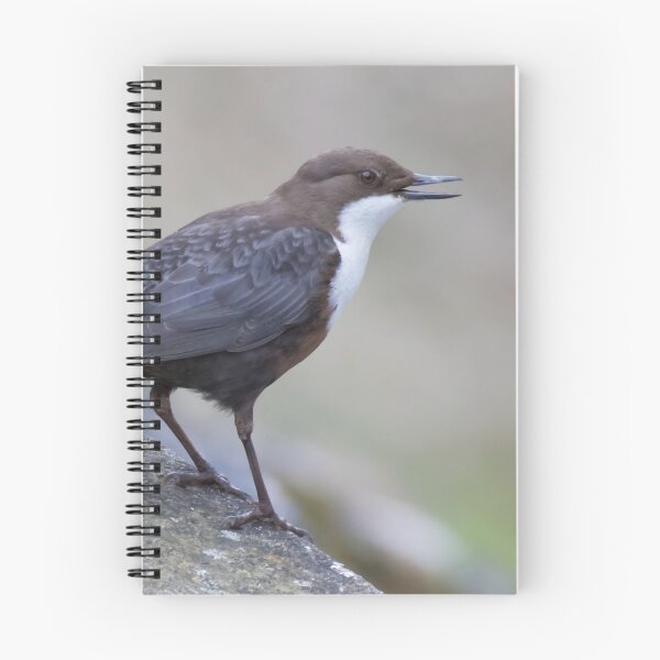 Item preview, White Throated Dipper designed and sold by LaurenTucker.