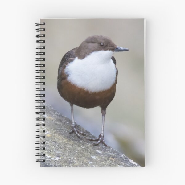 Item preview, White Throated Dipper designed and sold by LaurenTucker.
