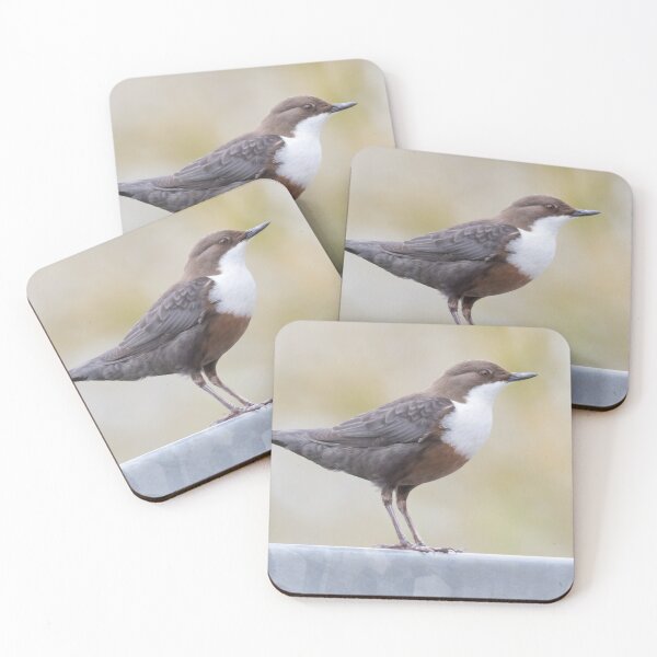 Item preview, White Throated Dipper designed and sold by LaurenTucker.