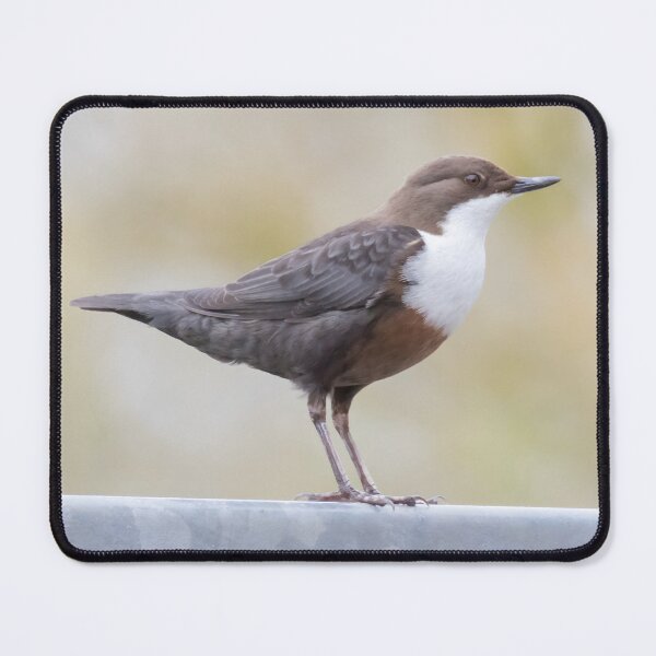 Item preview, White Throated Dipper designed and sold by LaurenTucker.