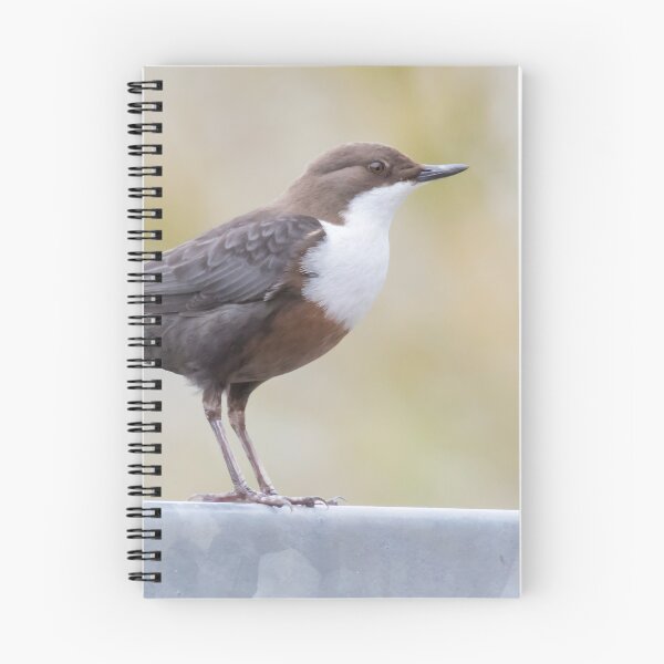 Item preview, White Throated Dipper designed and sold by LaurenTucker.