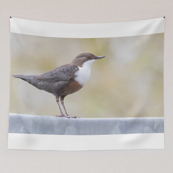 Item preview, White Throated Dipper designed and sold by LaurenTucker.
