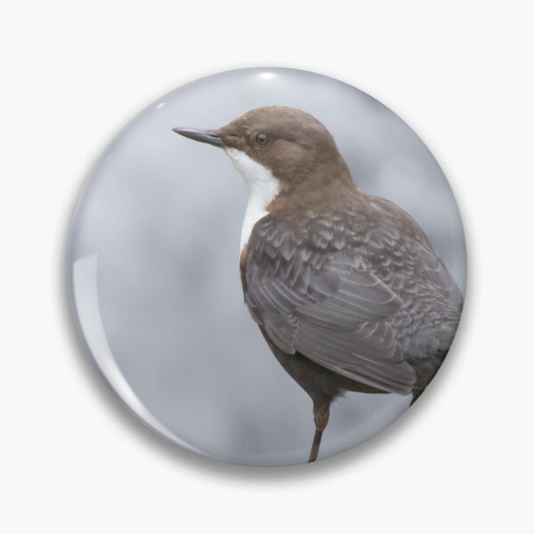 Item preview, White Throated Dipper designed and sold by LaurenTucker.