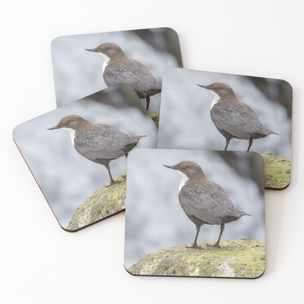 Item preview, White Throated Dipper designed and sold by LaurenTucker.