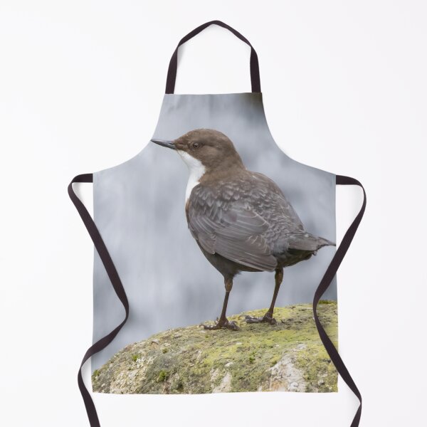 Item preview, White Throated Dipper designed and sold by LaurenTucker.