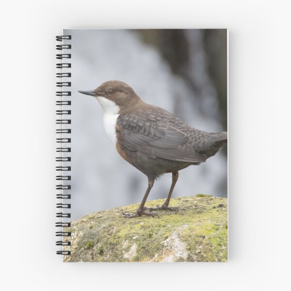 Item preview, White Throated Dipper designed and sold by LaurenTucker.