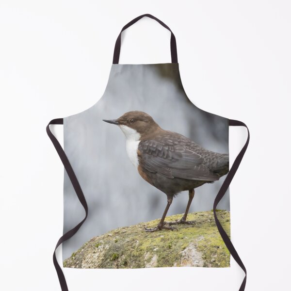 Item preview, White Throated Dipper designed and sold by LaurenTucker.