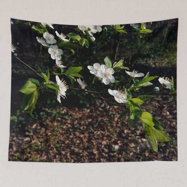 Item preview, European plum with white blossoms 2 original artwork designed and sold by paragonDesign28.