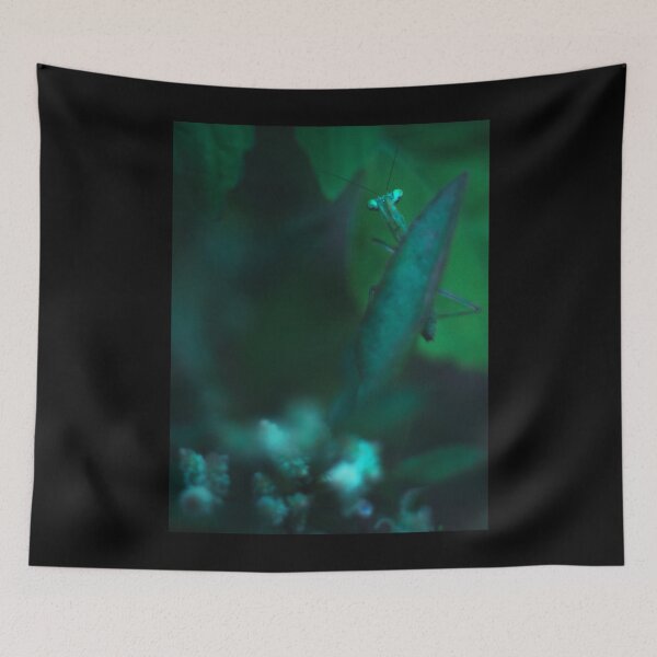 Item preview, Peek A Boo! designed and sold by BarlowAnnika.