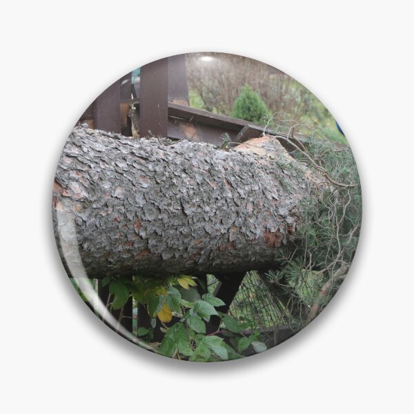 Item preview, Hurricane wind broke a huge tree near the house  designed and sold by mrivserg.