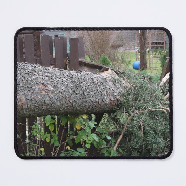 Item preview, Hurricane wind broke a huge tree near the house designed and sold by mrivserg.