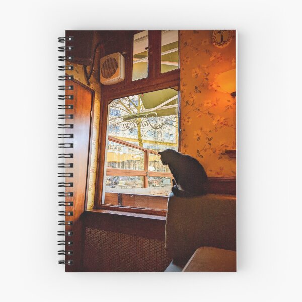 Item preview, Cat looks out window of Amsterdam cafe designed and sold by Cullen Curnow.