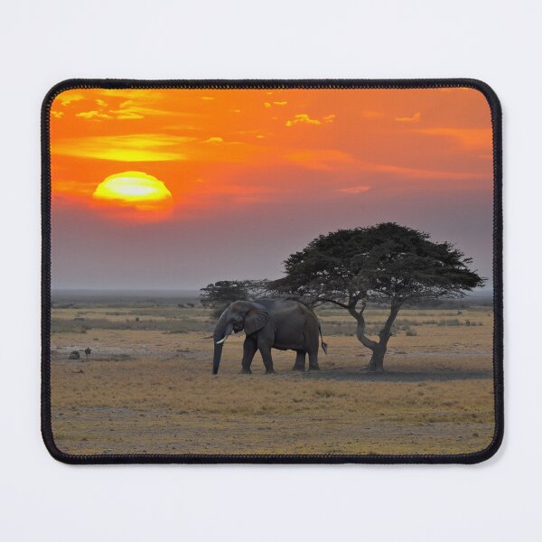 Item preview, Elephant Under Tree at Chobe National Park, Botswana designed and sold by AussieAl.