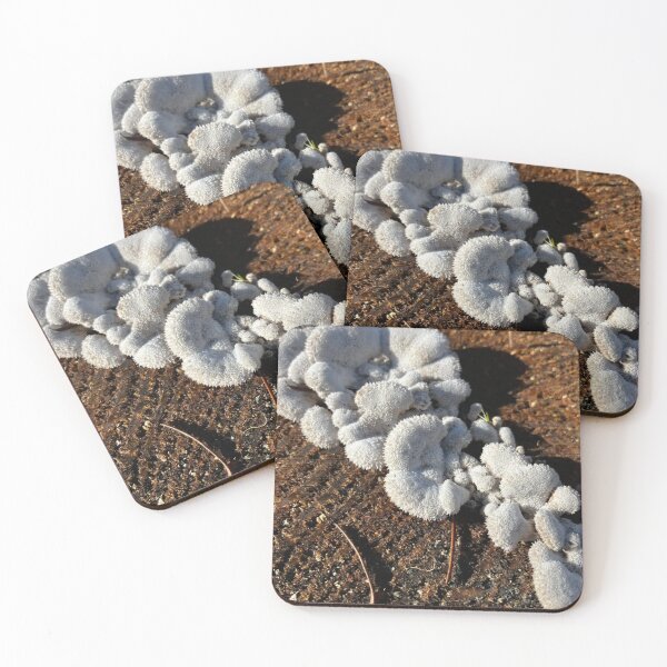 Item preview, Fungus designed and sold by Eeconte.