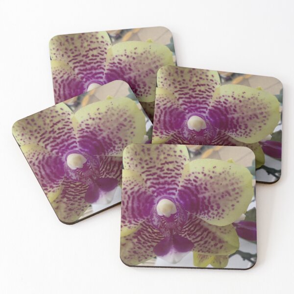 Item preview, Mesmerizing Spots of a Moth Orchid  designed and sold by Betsy Phillips.